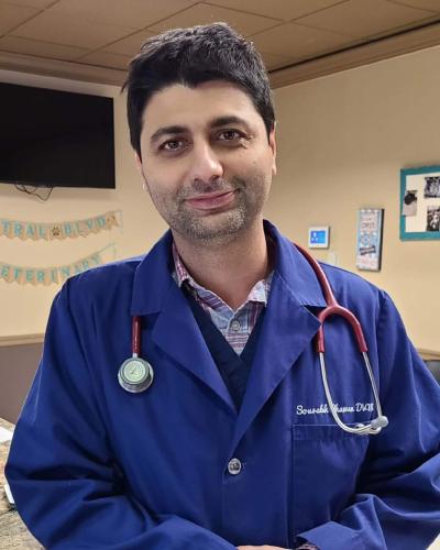 Dr. Sourabh Dhawan