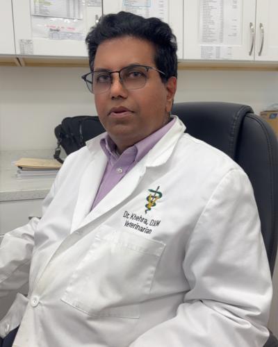 Dr. Tejinder Khehra
